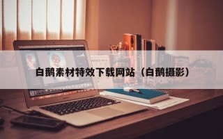 克孜勒苏白鹅素材特效下载网站（白鹅摄影）